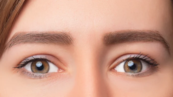 cejas